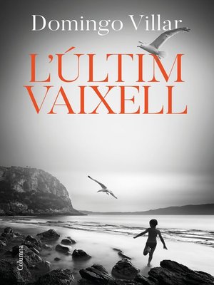 cover image of L'últim vaixell